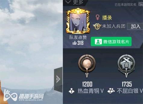 和平精英正规卖挂平台【小笼包一体直装】午后
